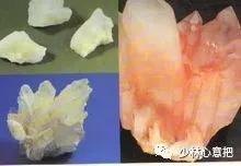 中药药材大全及功效,补肾中药大全及功效