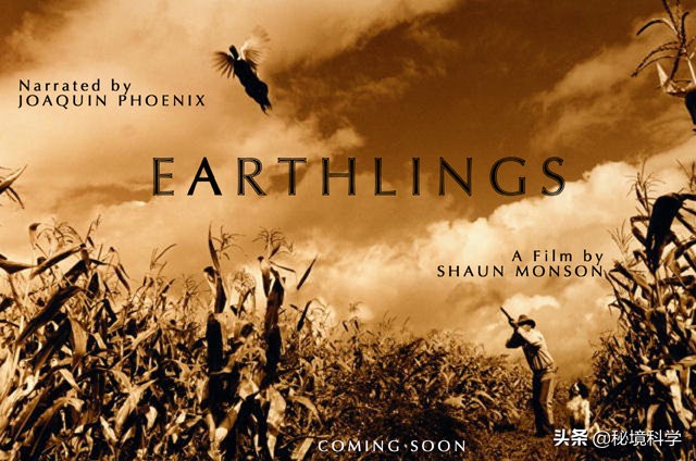 乌克兰电影劫匪,地球人的电影叫什么