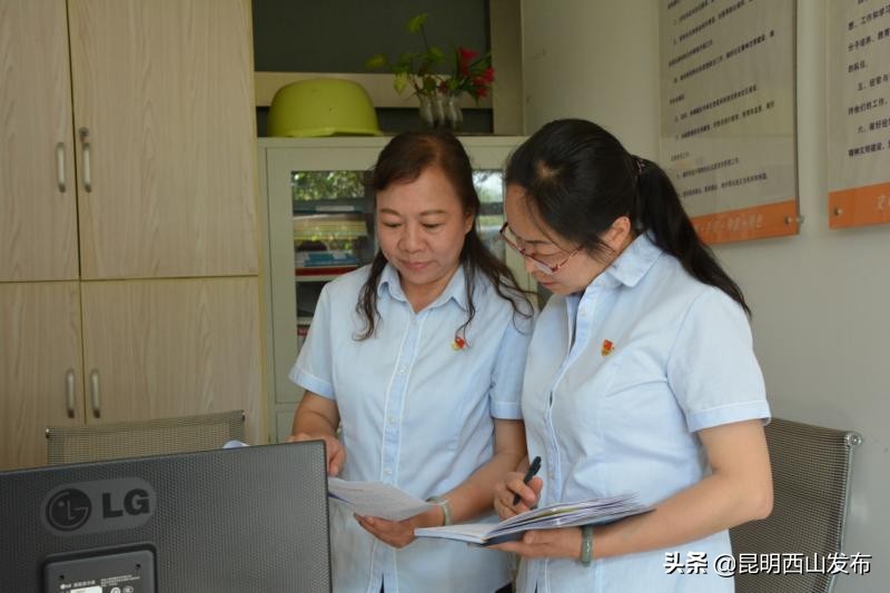 苏群影响力,苏群的影响力