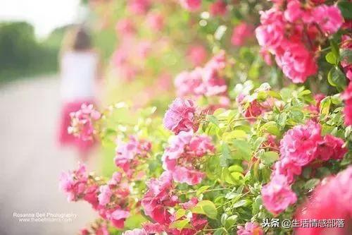 适合个性签名的简短句子,适合做个性签名的句子独特有风格