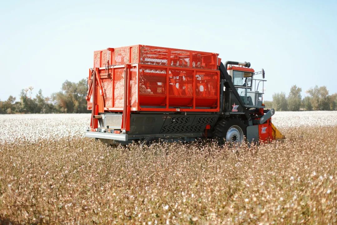 苏州女子探秘南疆巴州：这是一处色彩的世界，超出你的想象