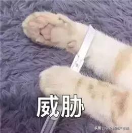 和朋友吵架了冷战怎么解决搞笑,和朋友吵架冷战想和解的视频