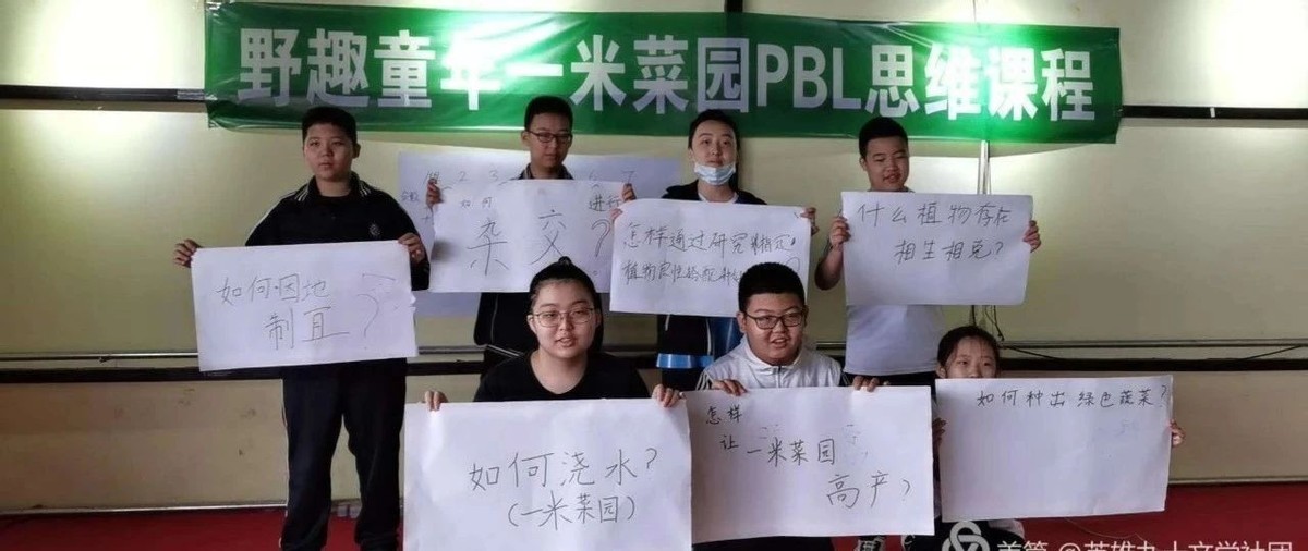 一亩土地怎么能一年赚20万,20亩地的农场该怎样赚钱