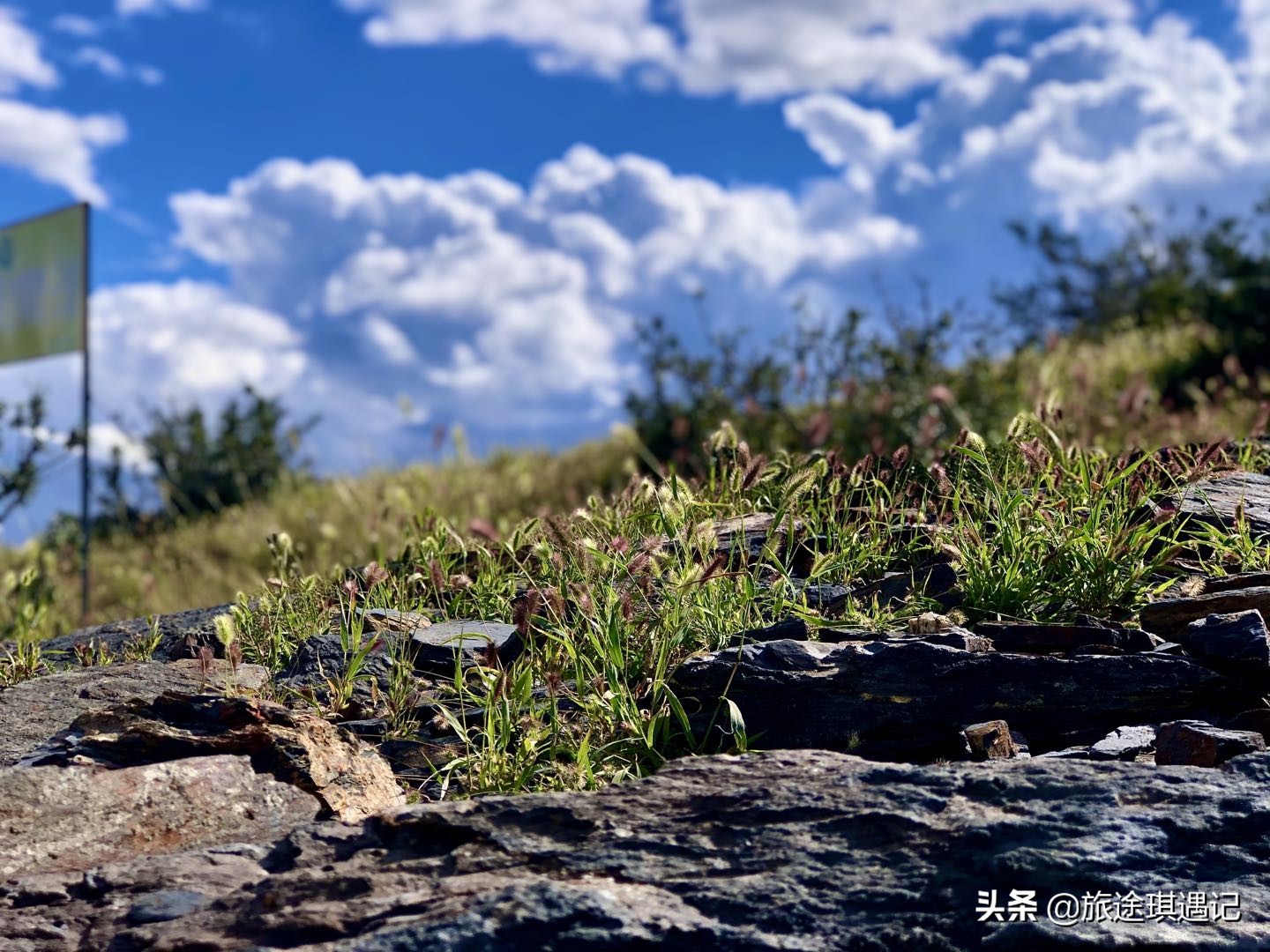 <html>
<head><title>502BadGateway</title></head>
<body>
<center><h1>502BadGateway</h1></center>
<hr><center>nginx</center>
</body>
</html>
<!--apaddingtodisableMSIEandChromefriendlyerrorpage-->
<!--apaddingtodisableMSIEandChromefriendlyerrorpage-->
<!--apaddingtodisableMSIEandChromefriendlyerrorpage-->
<!--apaddingtodisableMSIEandChromefriendlyerrorpage-->
<!--apaddingtodisableMSIEandChromefriendlyerrorpage-->
<!--apaddingtodisableMSIEandChromefriendlyerrorpage-->
