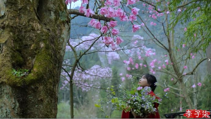 李子柒消失的55天鲜花宴,李子柒火到全球的视频