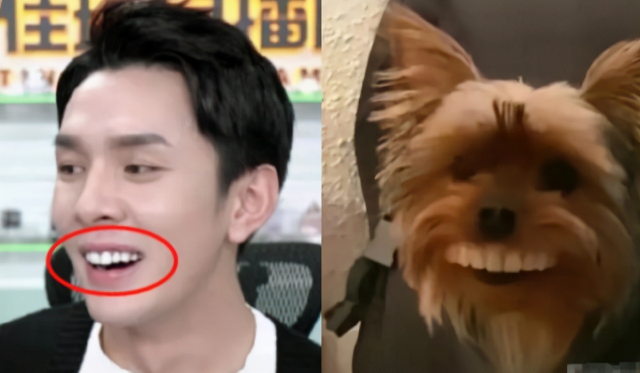 李佳琦和张翰,李佳琦张翰同台