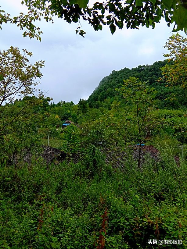 万源市竹峪镇东梨村,竹峪镇东梨村