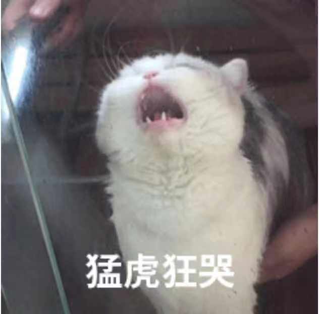 人体最痛的事情,生理上最痛的一次