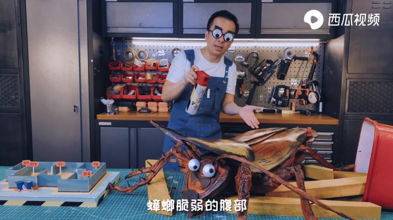 如何杀蟑螂最有效的方法视频讲解,如何灭蟑螂100种方法简单暴力