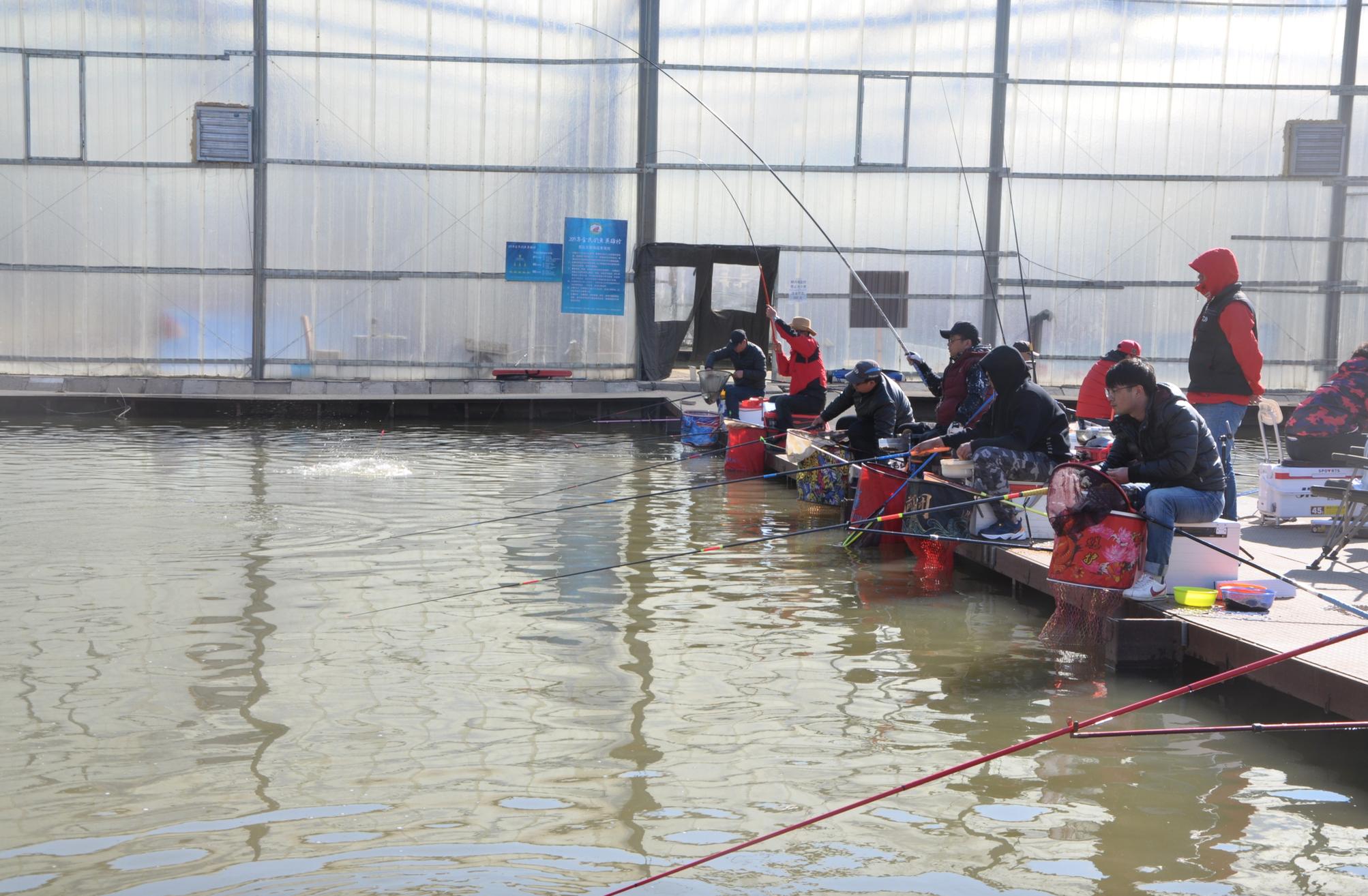 2019黑坑钓鱼比赛直播视频,黑坑钓鱼比赛2019完整视频