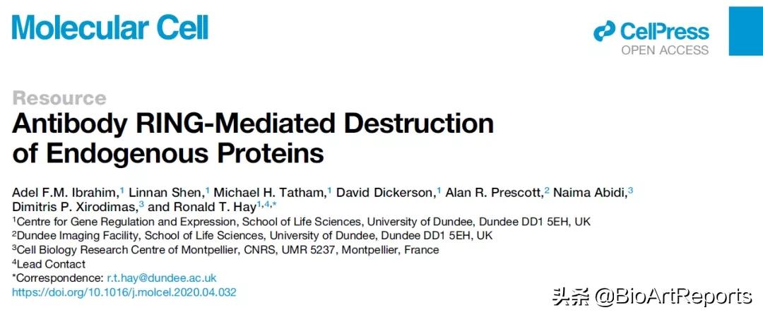 纳米抗体的生物合成,纳米抗体基本原理