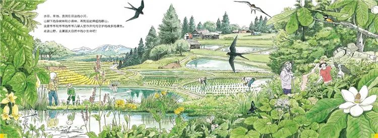 适合物理基础差的教辅书,高中生物理书籍推荐