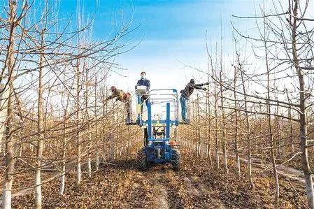 脱贫攻坚书写收官答卷,决战脱贫的奋斗