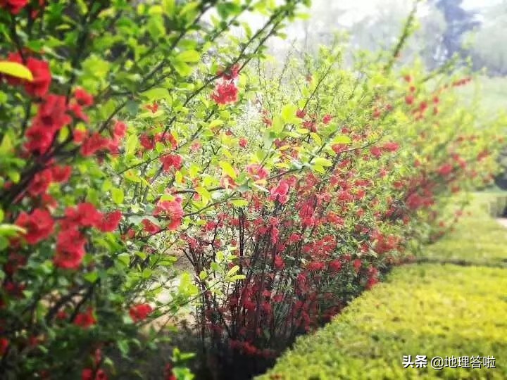 济南舜耕历山遗址,济南市市中区舜耕路舜耕山庄