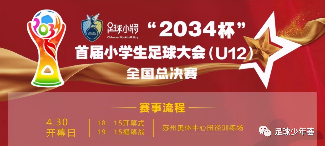中国足球青训完整视频,《解析中国足球青训现状及问题》