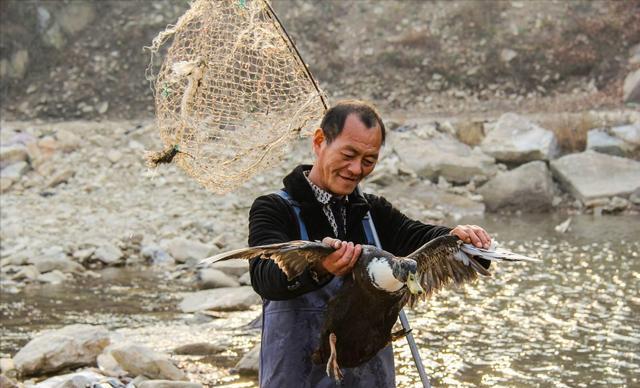 6年前捡到太岁,捡到太岁农民现在过得怎么样了