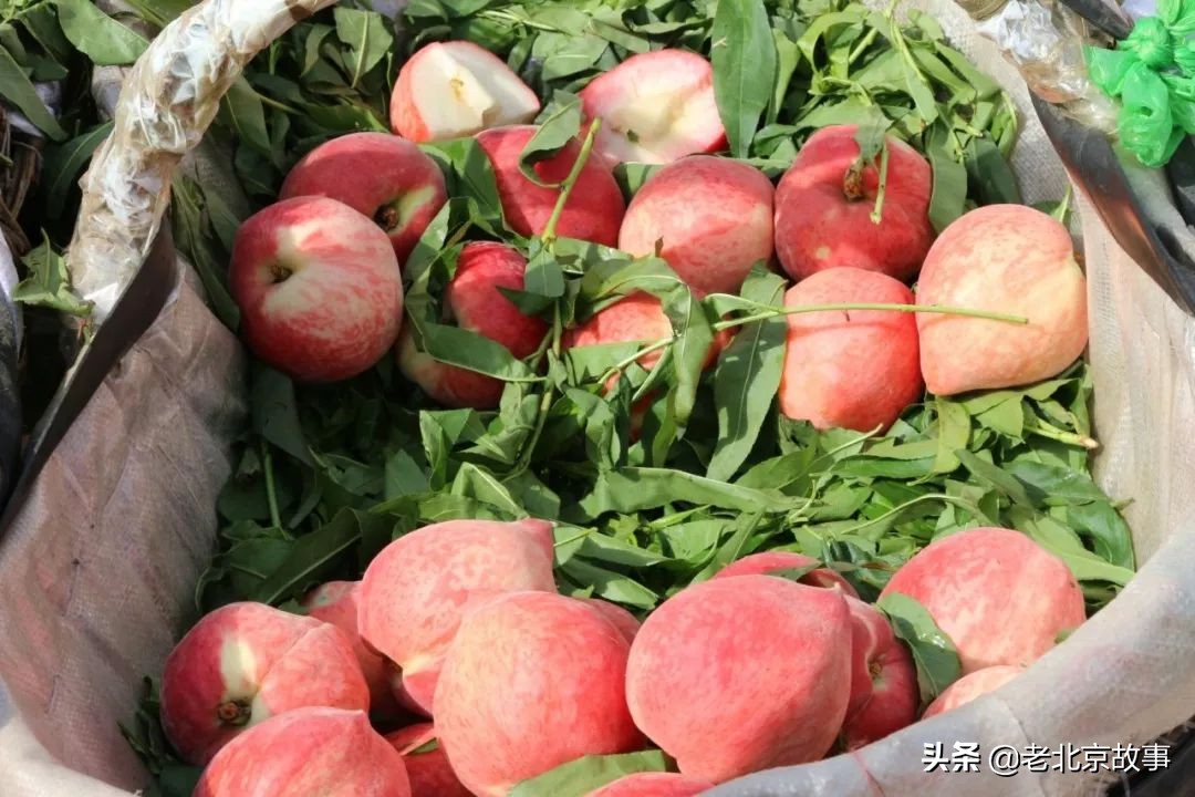 名人笔下的夏天段落,文人墨客笔下的北京