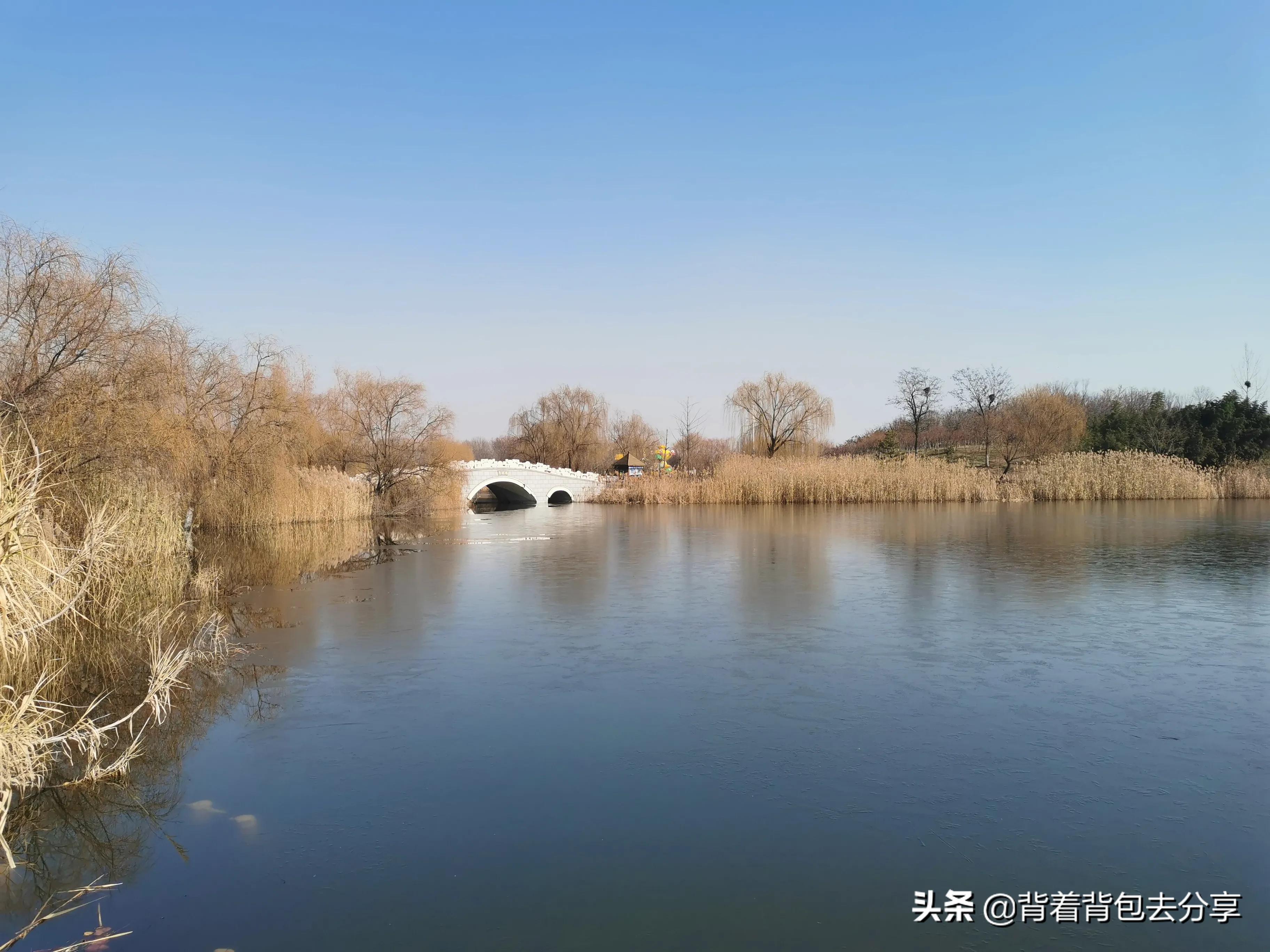汶上莲花湖湿地公园旅游攻略,汶上莲花湖湿地景区游玩攻略