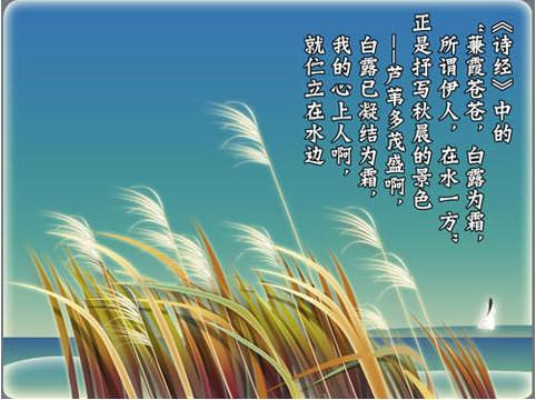 二十四节气白露寓意,二十四节气白露卡通