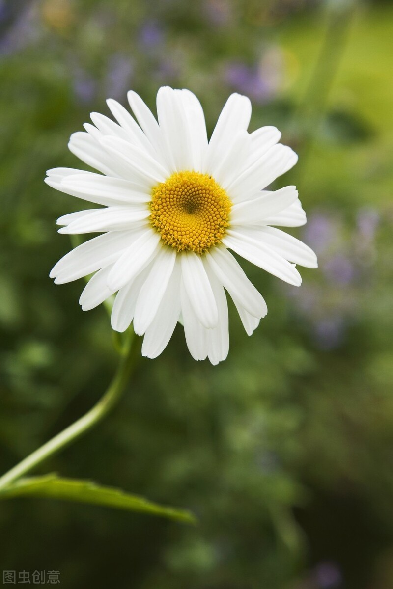 平价的“爆花小能手”：第一性价比高，第六是调色担当