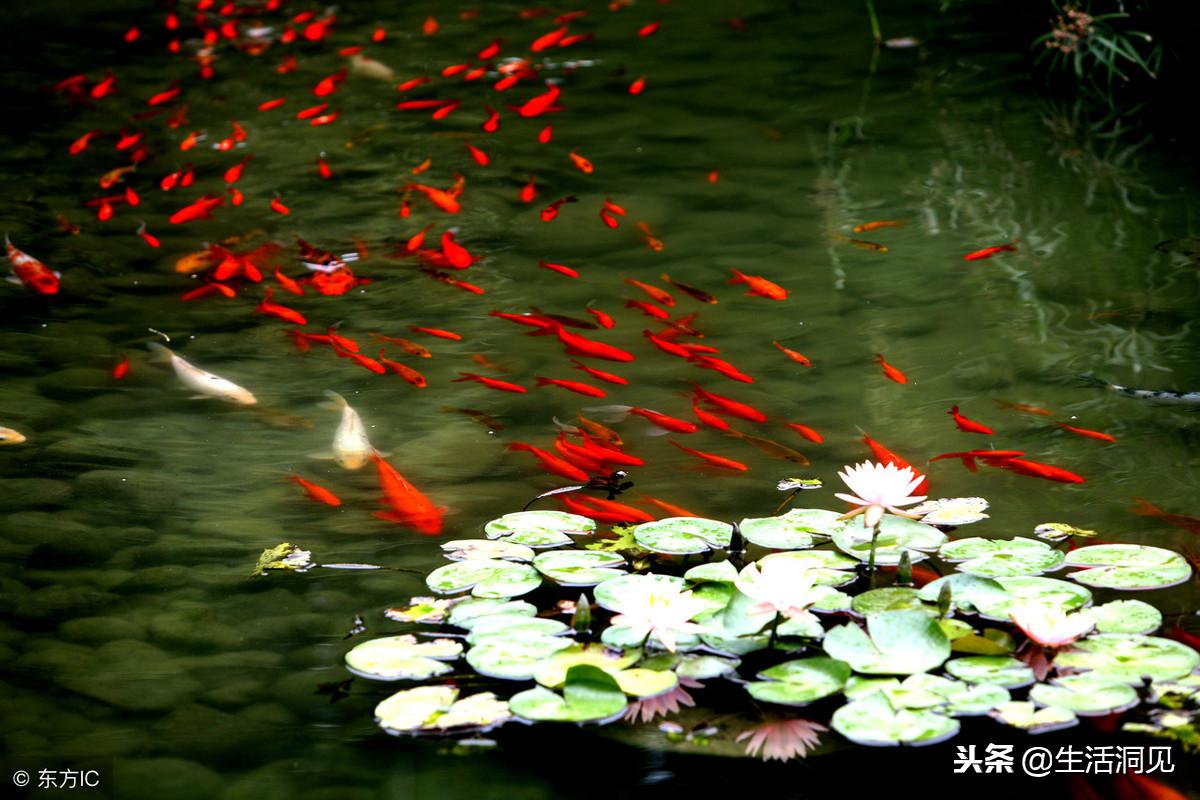 转运坚持做好这五点好运自然来,转运的关键在于自愈