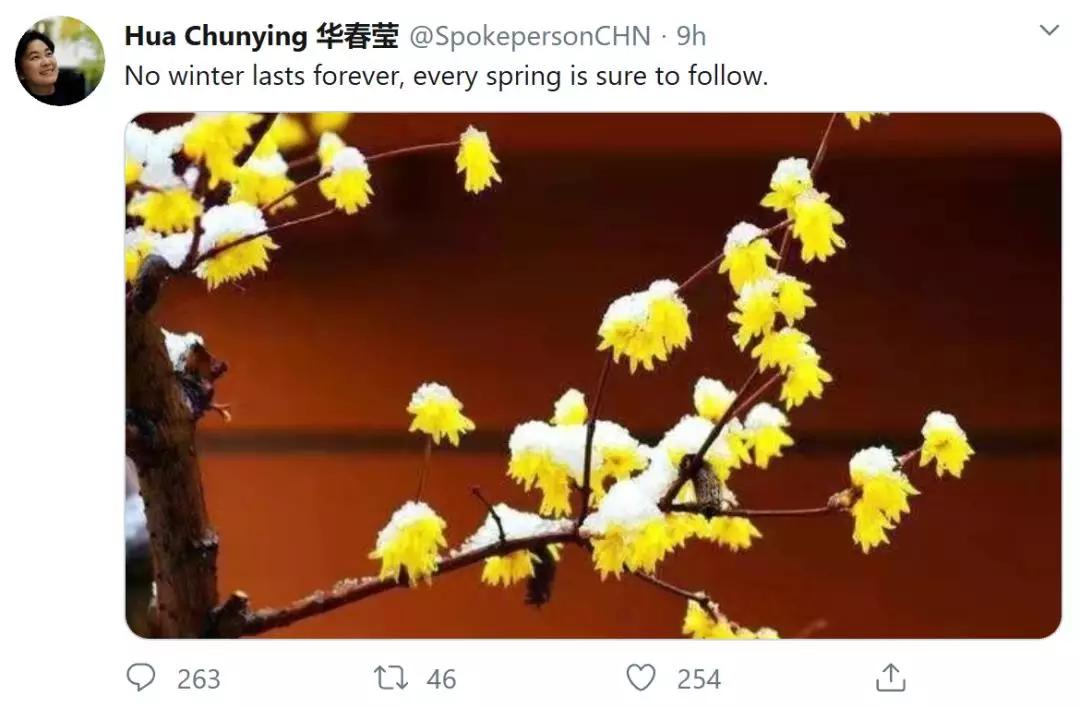 并肩“疫战”，开源社发布疫情机器人“小源”