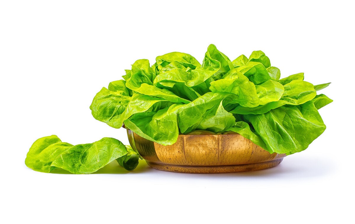 重度骨质疏松的人骨折后恢复,老年人骨折后治疗期间的注意事项