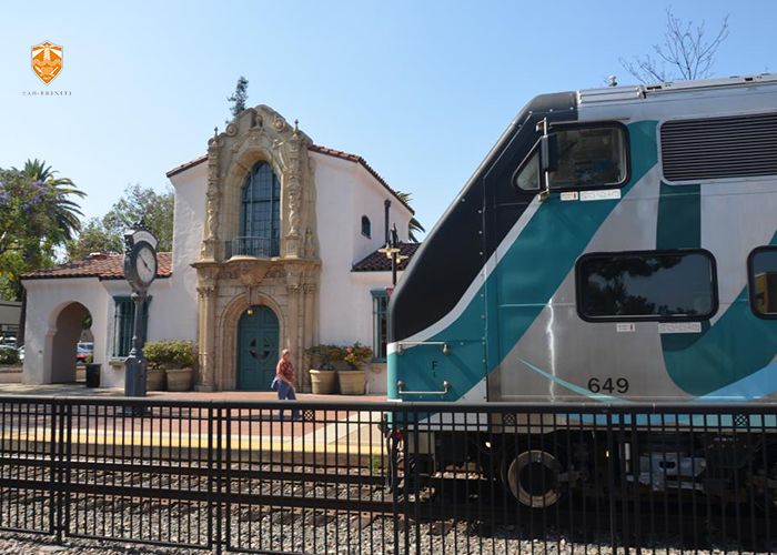 非诚勿扰最矮女嘉宾照片,非诚勿扰大学罗老师