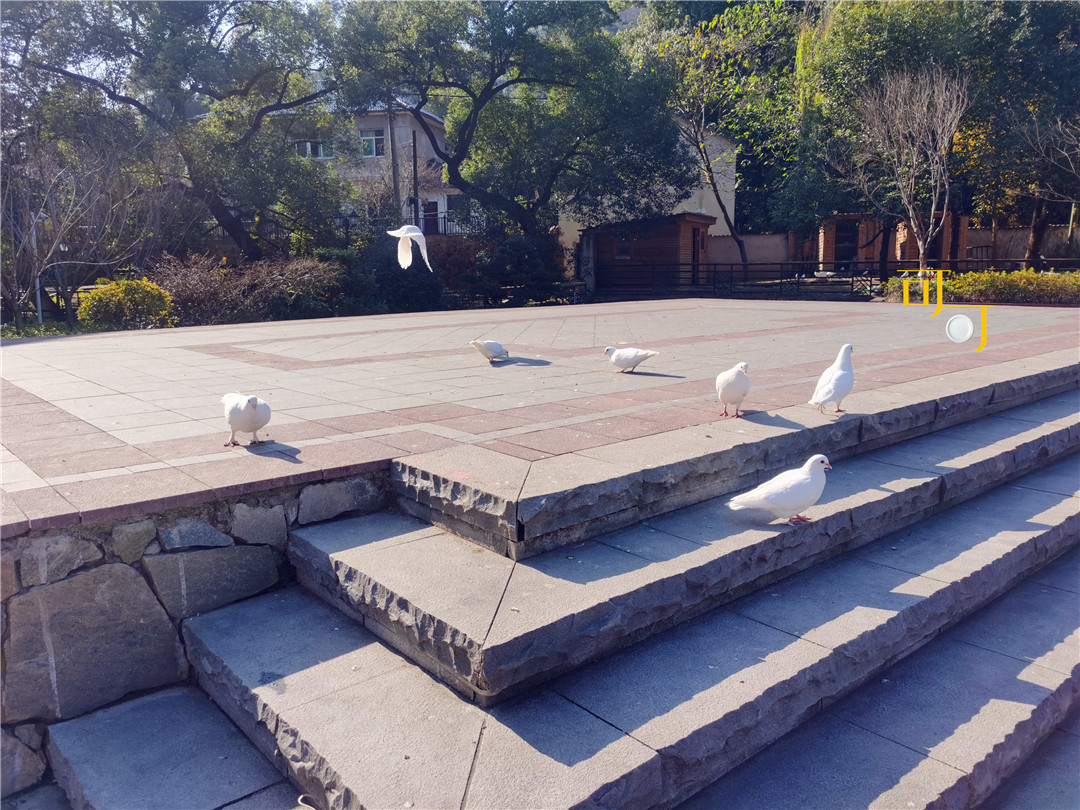 德清莫干山景区攻略图,德清莫干山风情小镇攻略