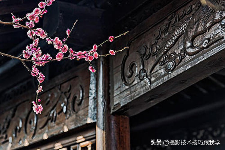拍梅花怎么拍照片出高级感,拍梅花照片的技巧与方法