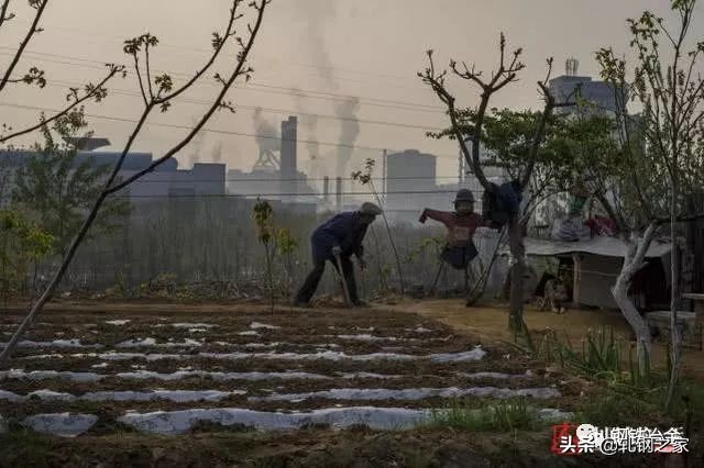 唐山钢厂停产下岗，有人月入8万，有人借钱生活