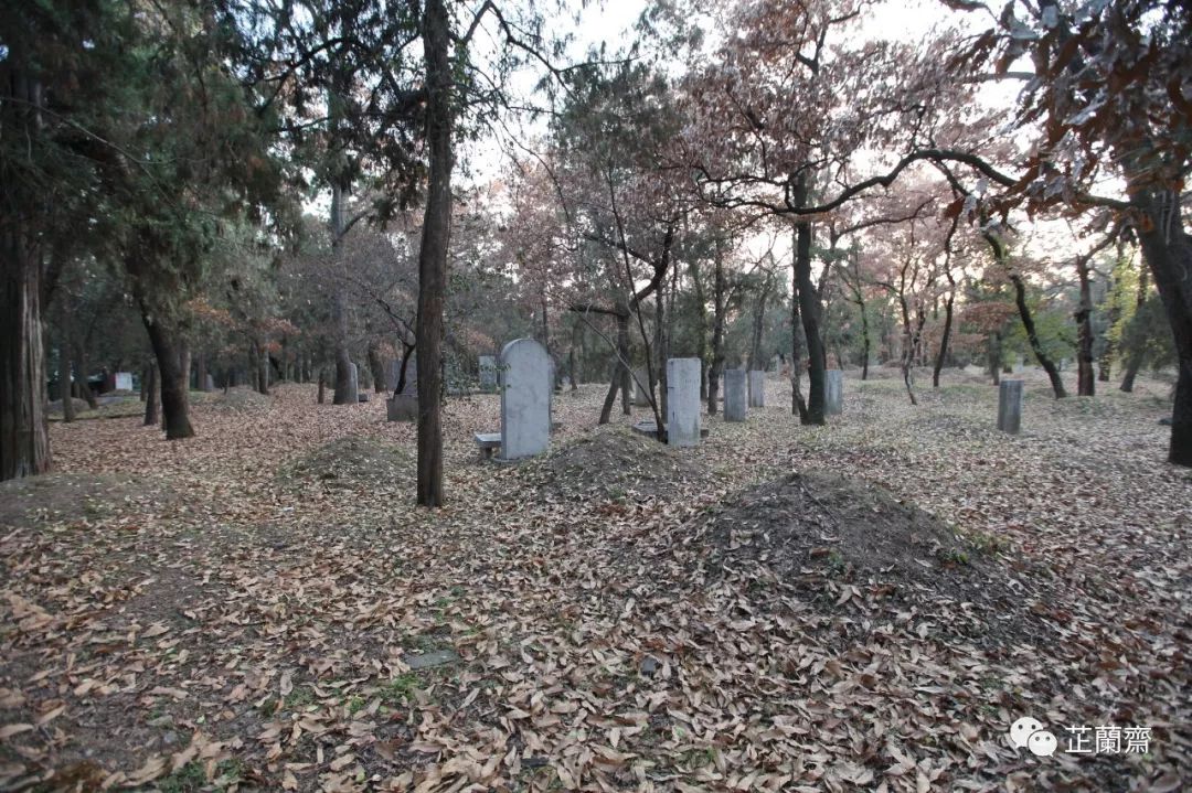 孔林各个时代的墓葬,孔林埋葬孔子家族墓葬多少座