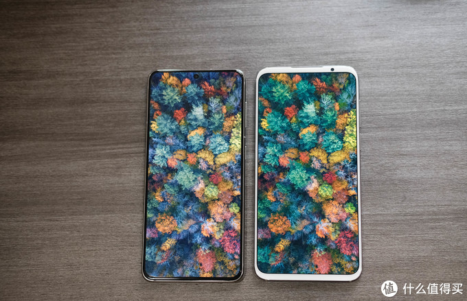 最后的倔强2k20,最后的倔强大结局