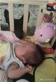 流浪狗被好心人收养每天特别高兴,流浪狗求收养视频