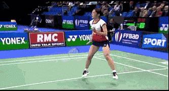 金秋诗画（学羽精华33.发力技巧）