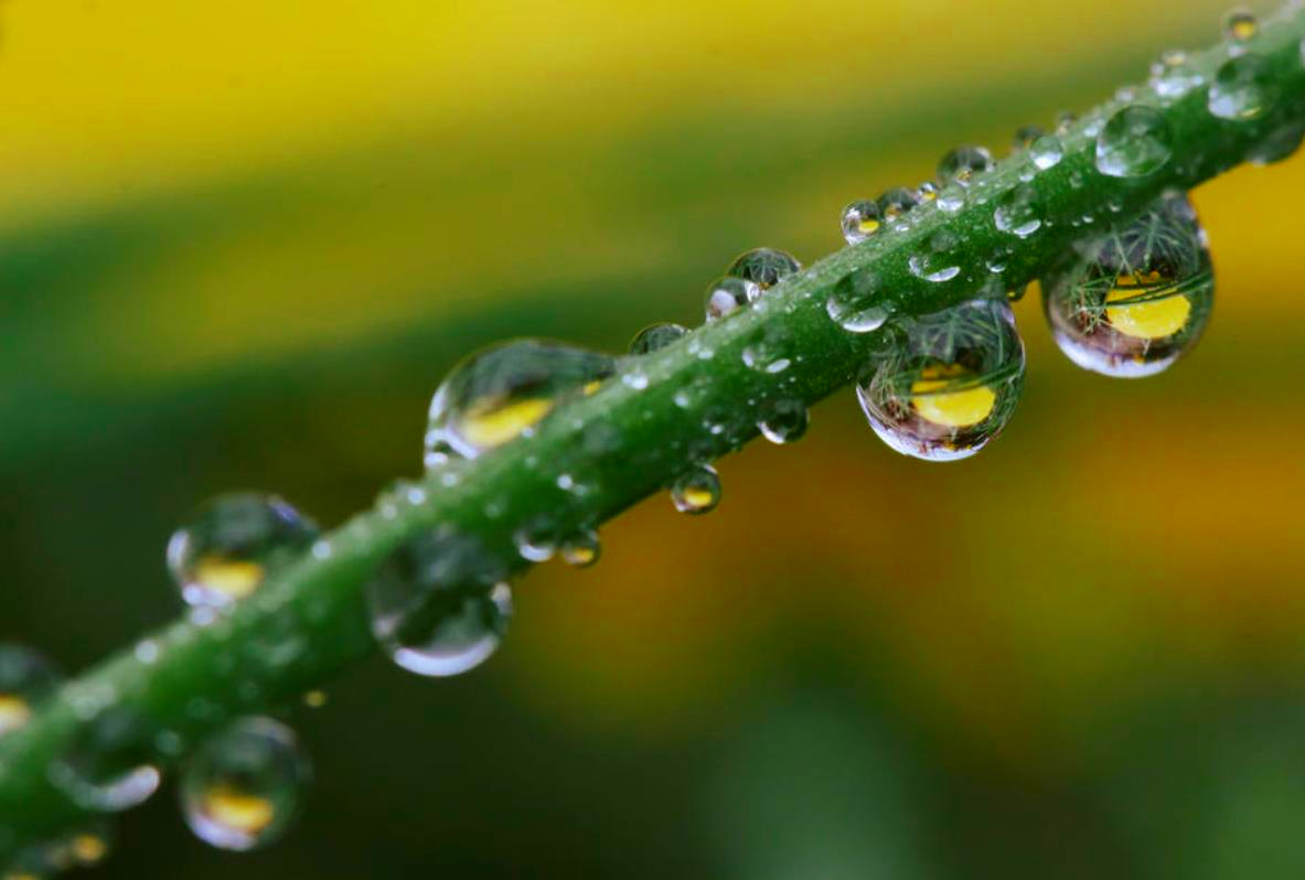 用情至深的人也容易极端,用情太深的人都容易心碎