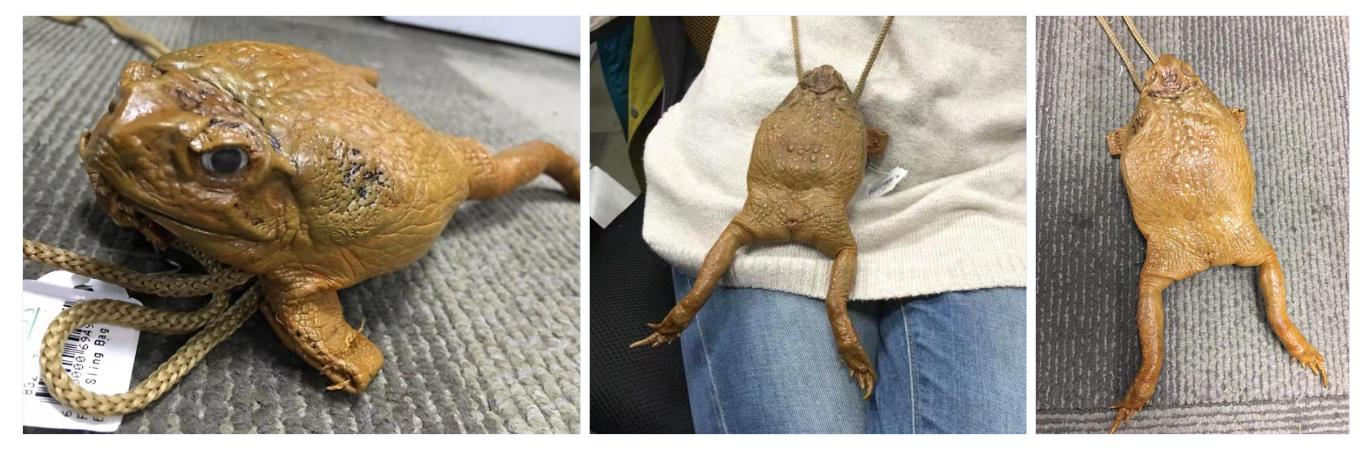 十大珍稀皮料,珍稀皮革