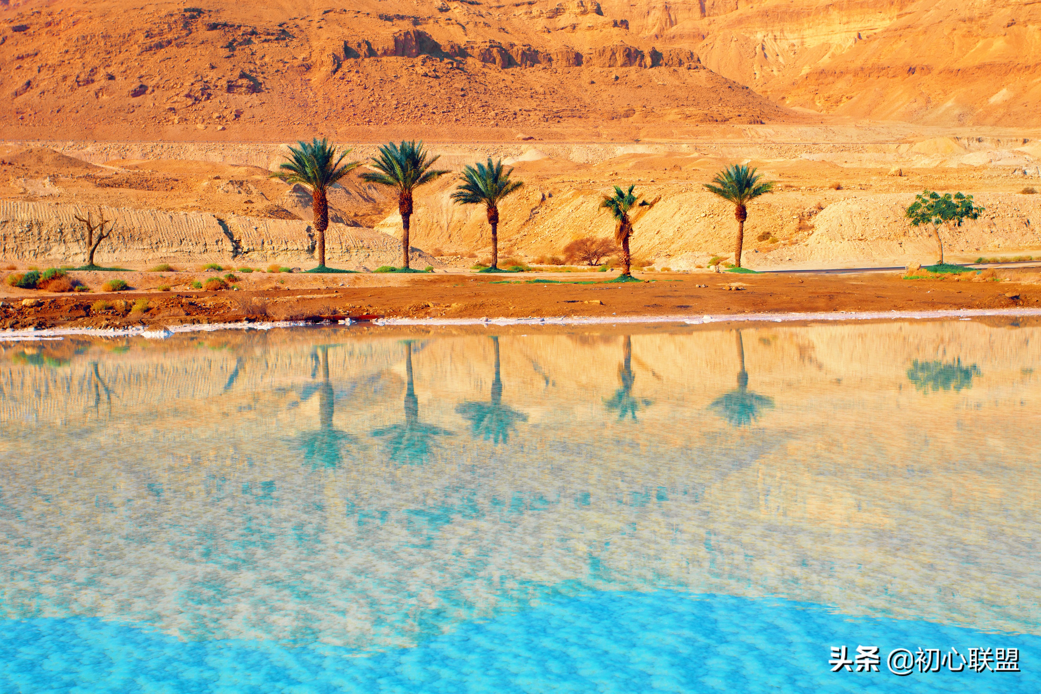 南农初试成绩,南农2016复试名单