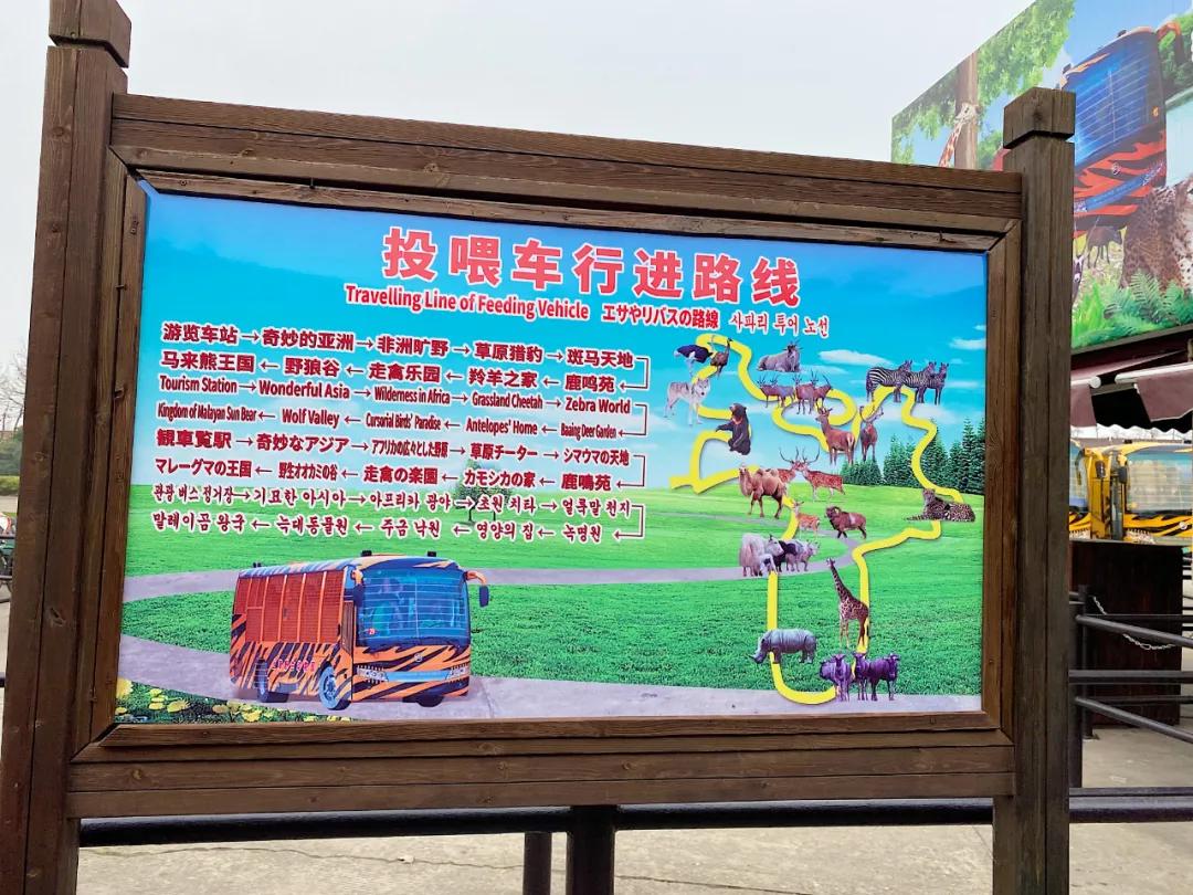 上海野生动物园旅游攻略路线推荐,上海野生动物园旅游攻略50字