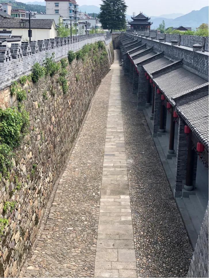 天下梅花两朵半的典故,天下梅花两朵半指哪里