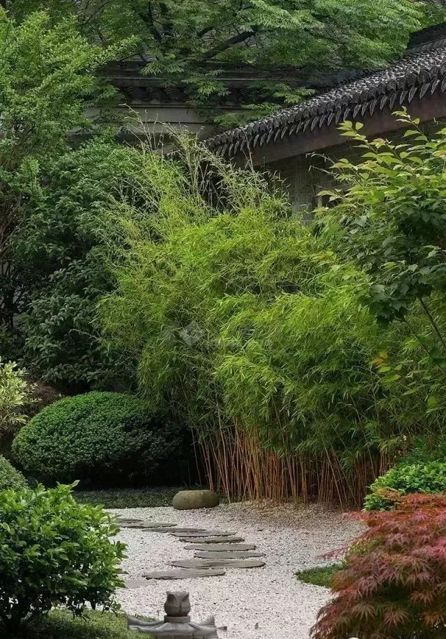 院子风景真美,中国人的院子