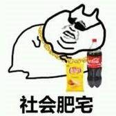 桥本环奈坂口健太郎,桥本环奈工具