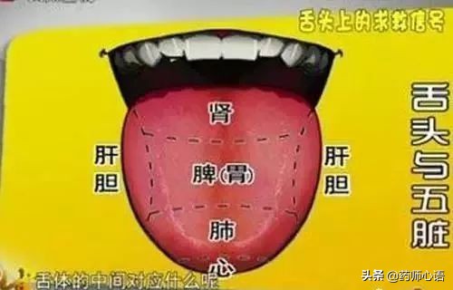 舌头反映了身体的哪些器官,舌头出现信号对身体有什么危险