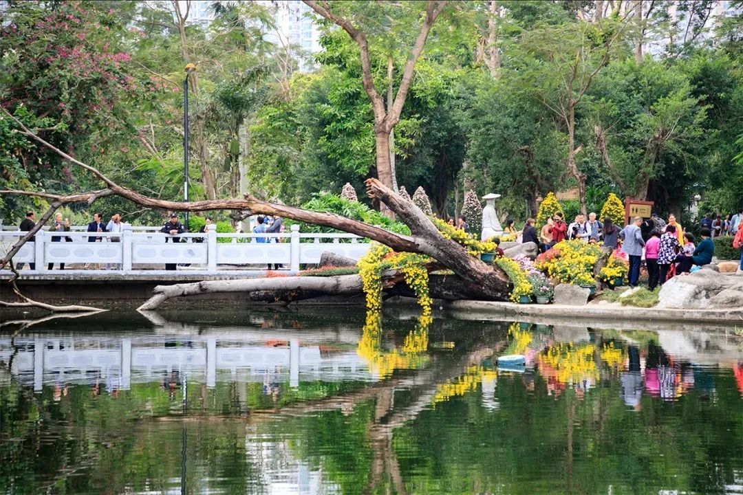 深圳3号线有哪些可以玩的,深圳7号线攻略