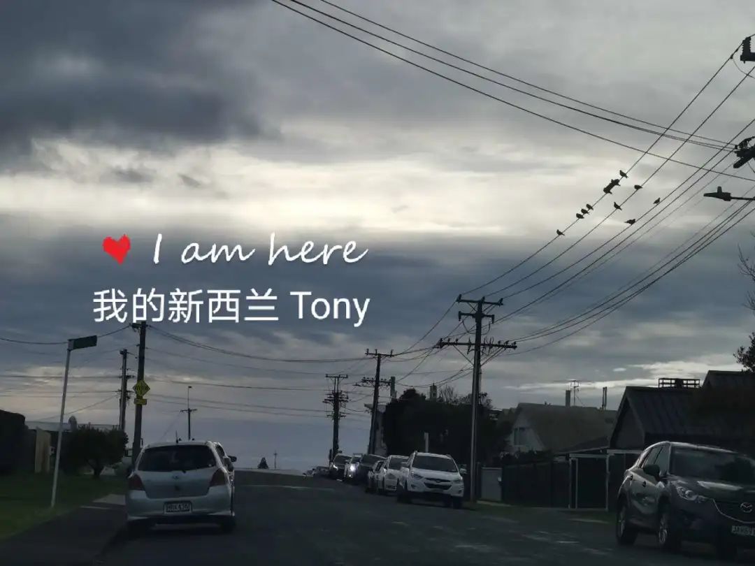 新西兰疫情期间经历了什么,新西兰疫情打工现状