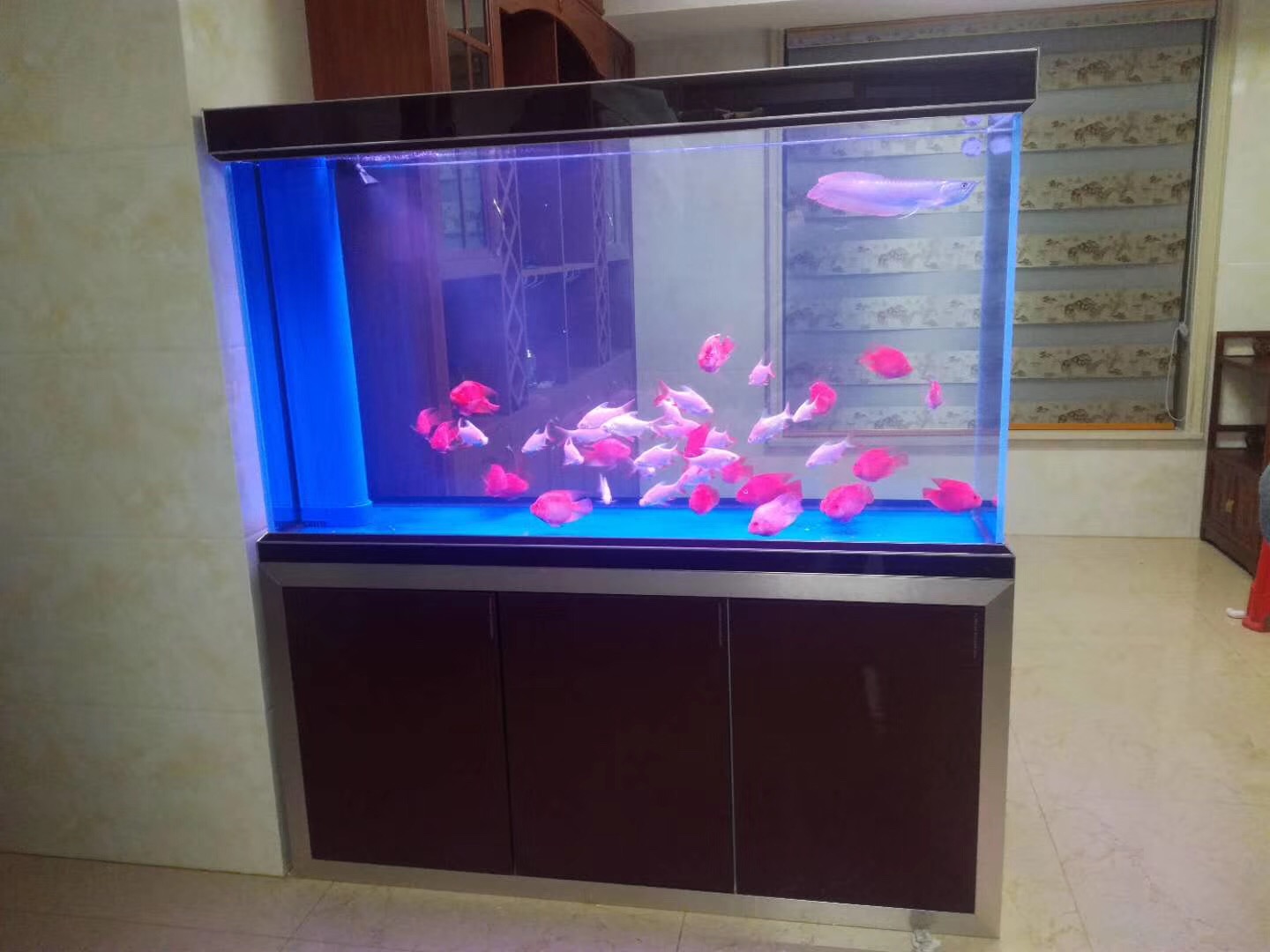 鱼缸抽水泵摆放最佳位置,鱼缸摆放的最佳位置在哪里