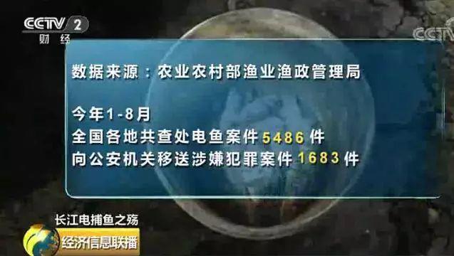 刑法规定的禁止使用捕鱼方法,非法捕鱼为什么屡禁不止
