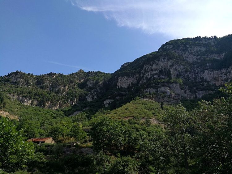 青州青山绿水景区,青州网红打卡地古城