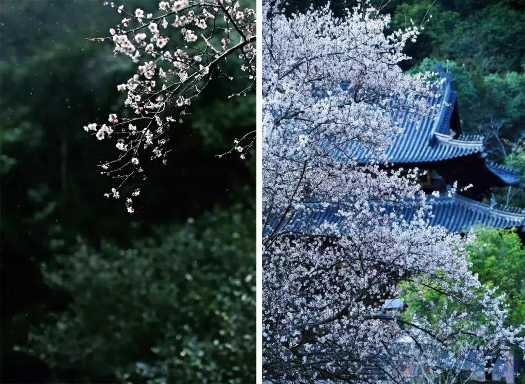 武夷山风景区民宿推荐价格表,武夷山山里民宿