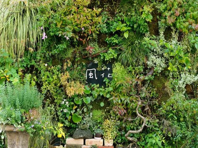 日本青山花店,日本花店推荐